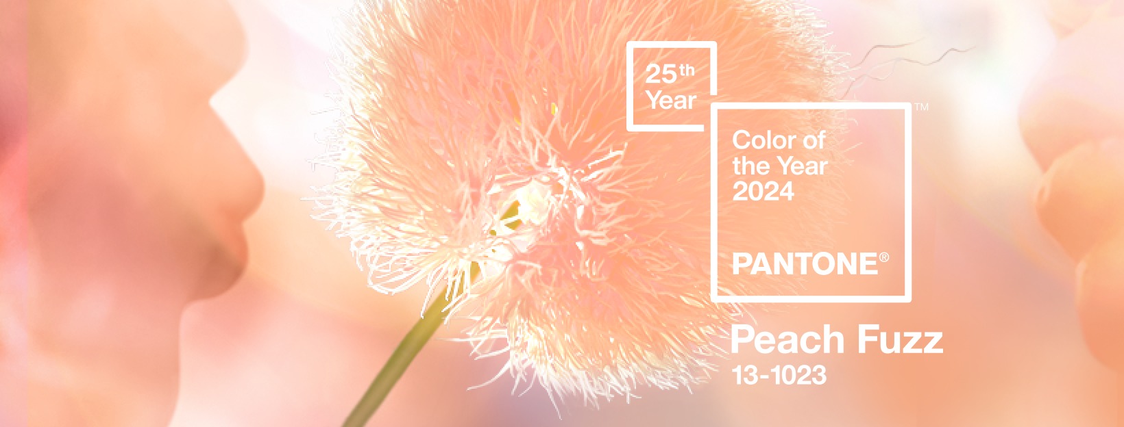 Peach Fuzz Is Pantone's Color Of The Year 2024